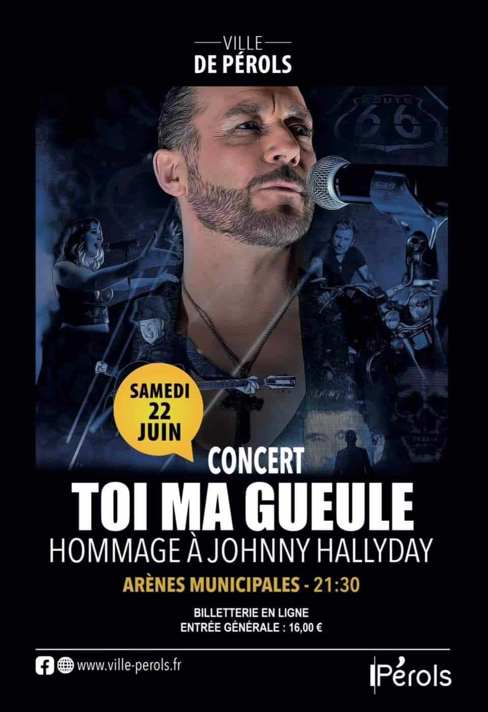 Concert de Toi Ma Gueule - Johnny Halliday Revival, le 22 juin 2024 aux Arènes de Pérols